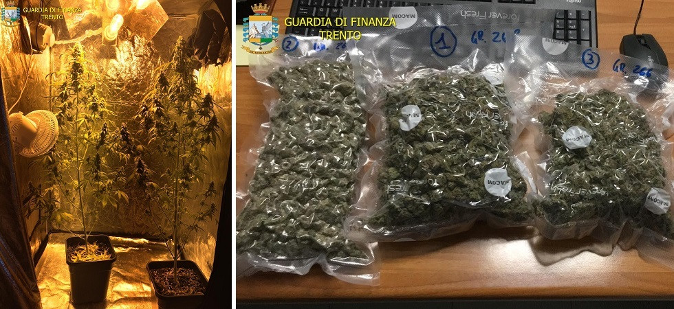 “Droga a domicilio”, i cani Apiol, Nabuco e Gabriel scoprono una serra: arrestati due spacciatori